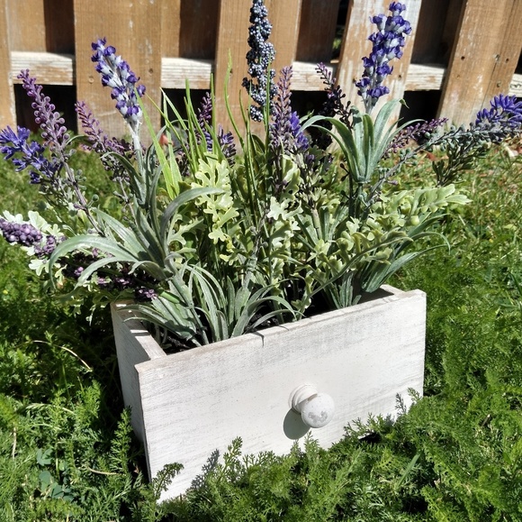 Meet your Posher, Genoveva - Picture 1 of 2